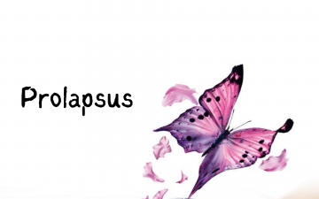 Prolapsus